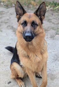 Samira on her 2nd birthday