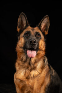 Lucy portrait