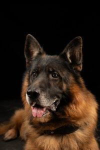 Olymp portrait
