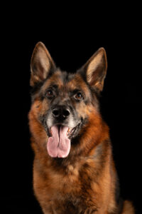 Renzo portrait